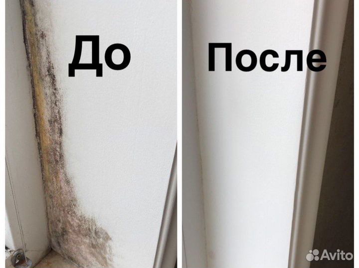 Средство против плесени и грибка