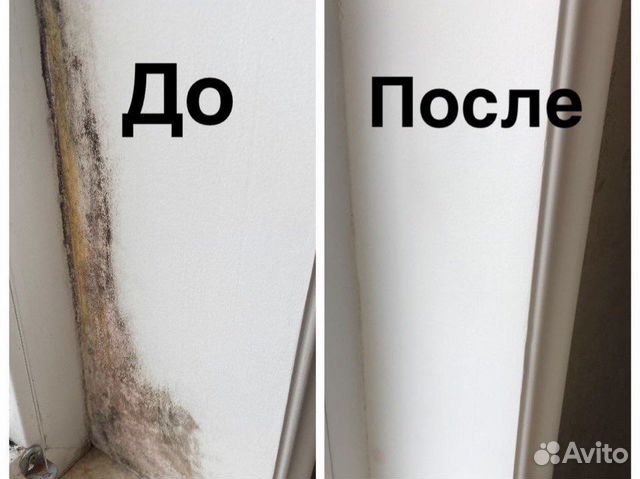 Средство против плесени и грибка