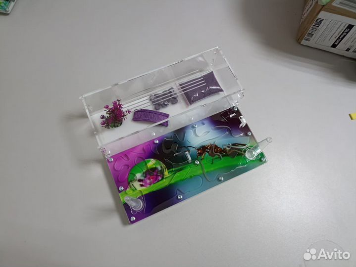 Муравьиная ферма с доставкой по России