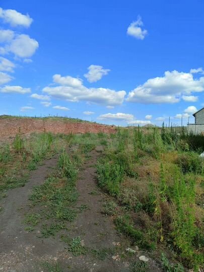 Дом 41,3 м² на участке 2,8 сот.