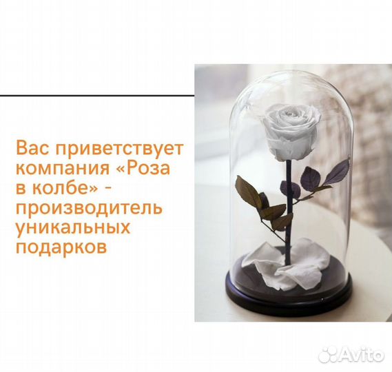 Роза в колбе. Ассортимент оттенков