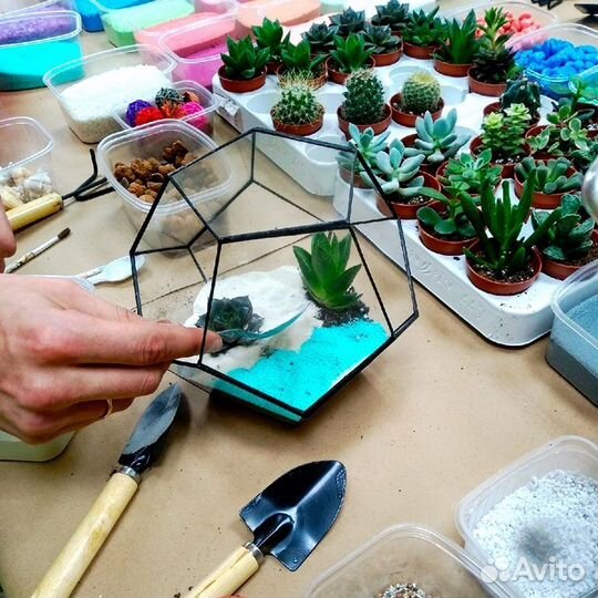 Мастер-класс по изготовлению флорариума