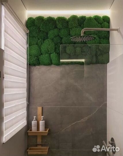 Стабилизированый мох