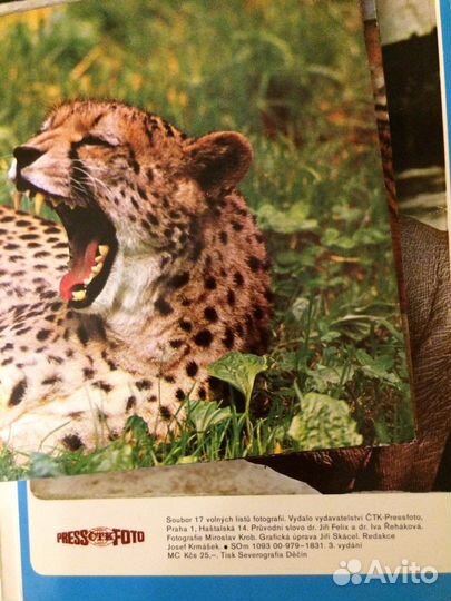 Советские наборы открыток