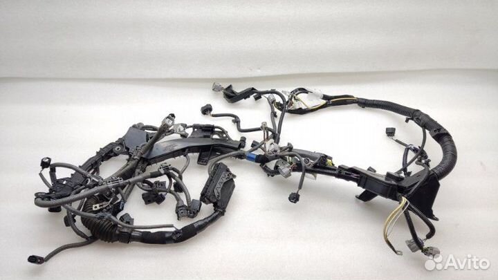 Проводка двигателя Lexus Rx450H AL20 2grfxs 2020
