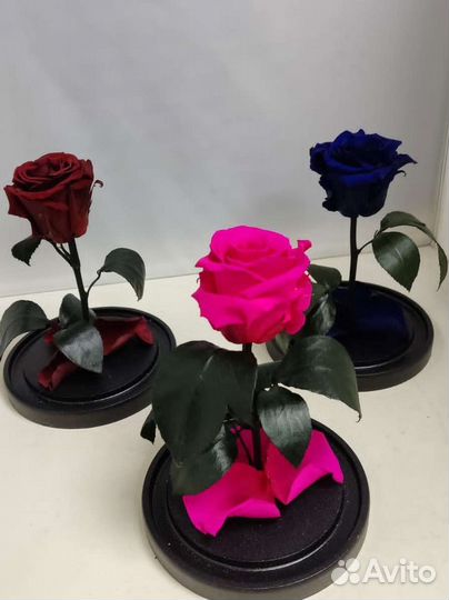 Роза в колбе оптом