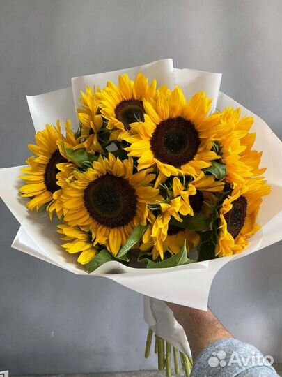 Цветы на 1 сентября учителю