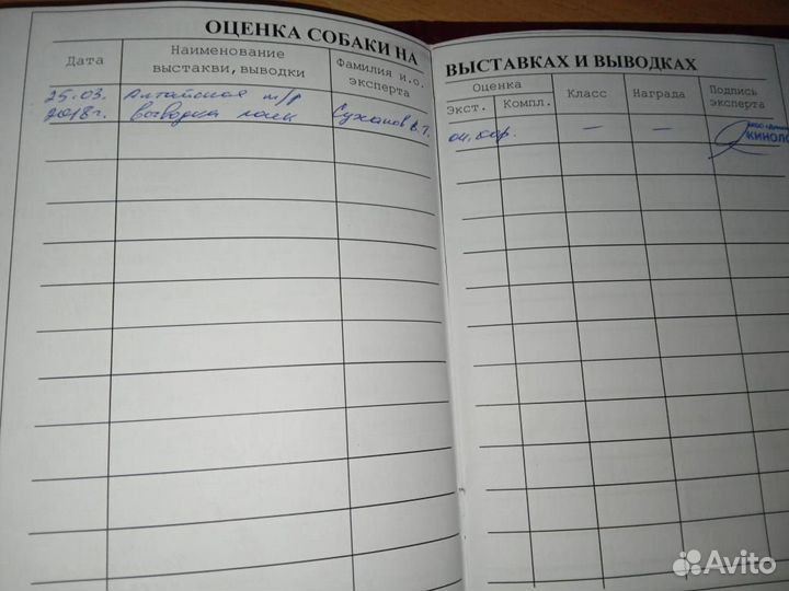 Лайка зсл