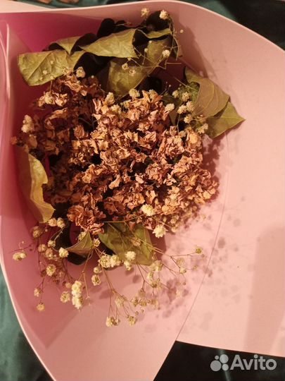 Букет из сухоцветов.Гортензия