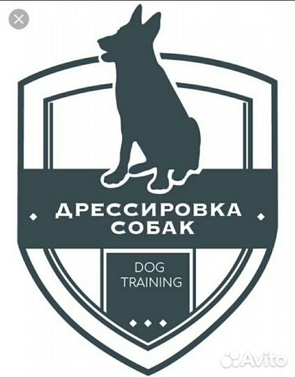 Дрессировка собак
