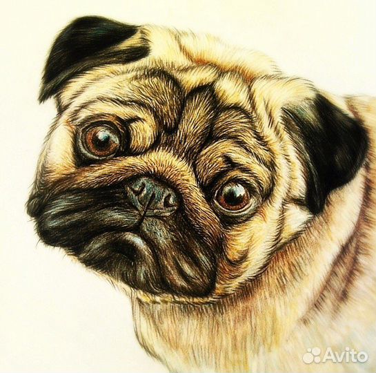 Портрет питомца маслом на заказ