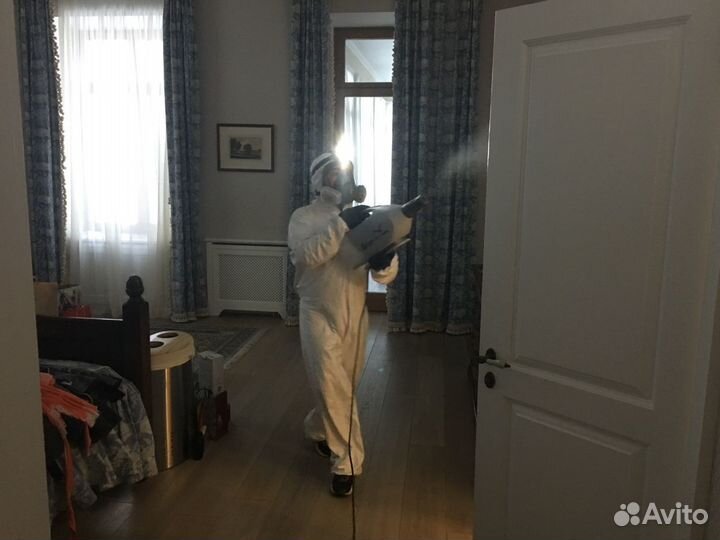 Уничтожение тараканов клопов Дезинфекция