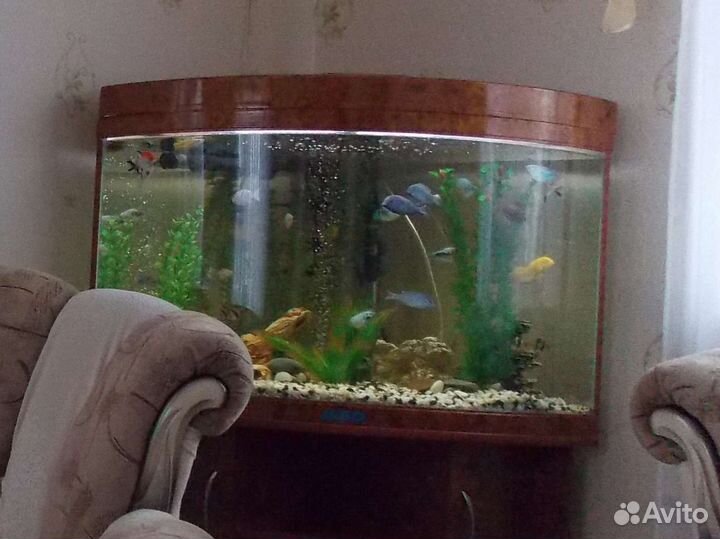 Аквариум угловой jebo R470, 186 литров