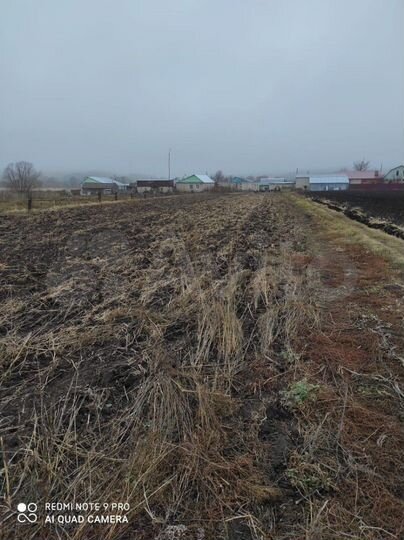 Участок 22 сот. (ИЖС)