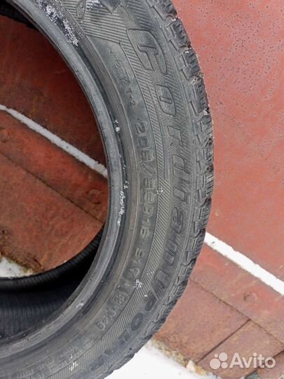 Cordiant Polar 2 205/55 R16