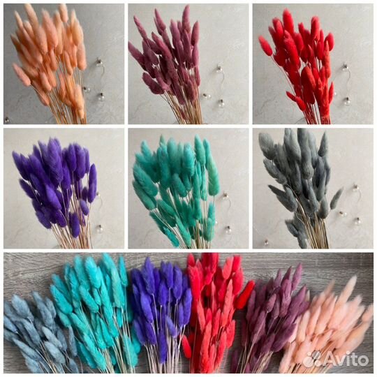 Лагурус сухоцвет очищенный 60 шт./пучок