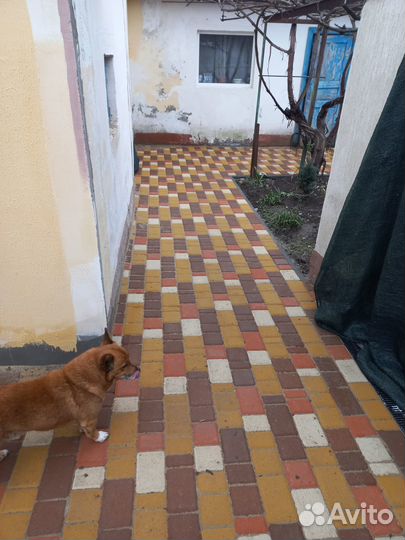 Тротуарная плитка под ключ