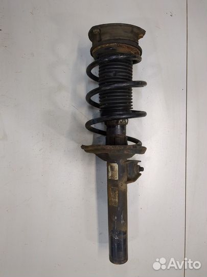 Амортизатор подвески Skoda Octavia (A7), 2017