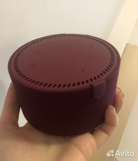 Станция алиса