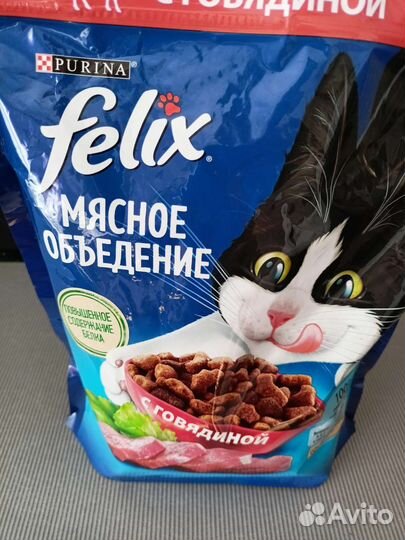 Кошка в добрые руки