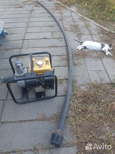 Продам мотопомпу- насос для полива