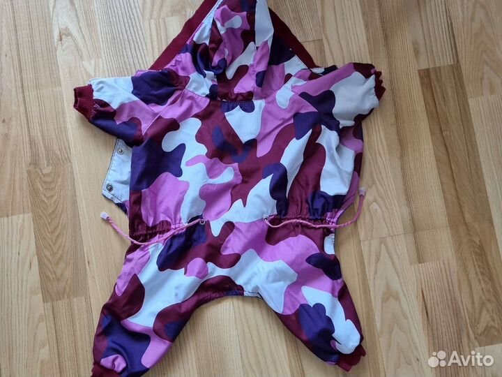 Одежда для собак мелких пород