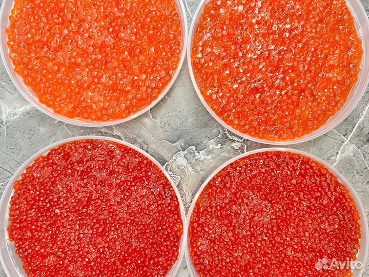 Икра Форели опт