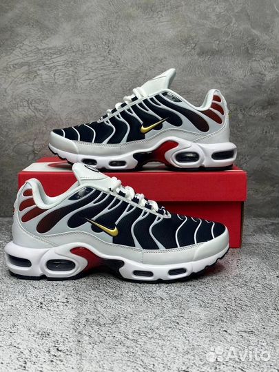 Кроссовки Nike air max tn plus