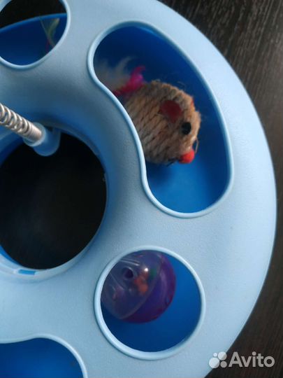 Забава, игрушка для питомца