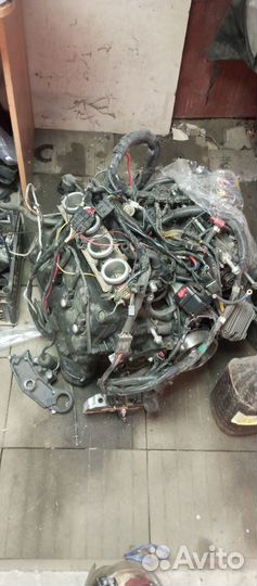 Двигатель triumph speed four tt600