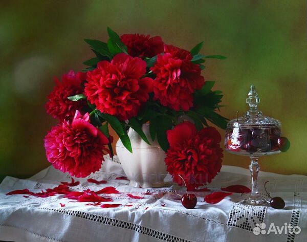 Картина по номерам 40x50 Ярко красные пионы в бело