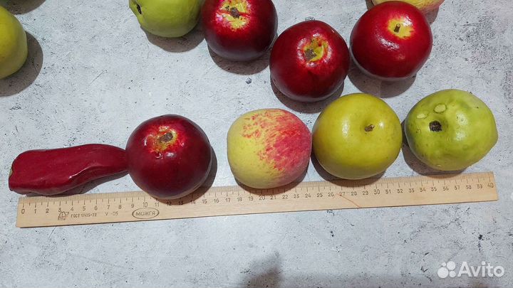 Муляжи овощи фрукты