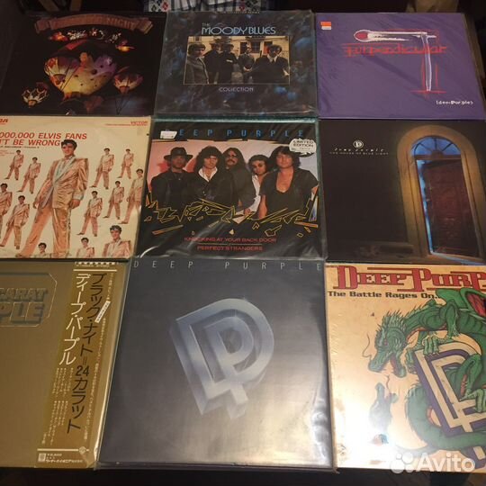 Deep Purpl Sting David Bowie Kim Wild