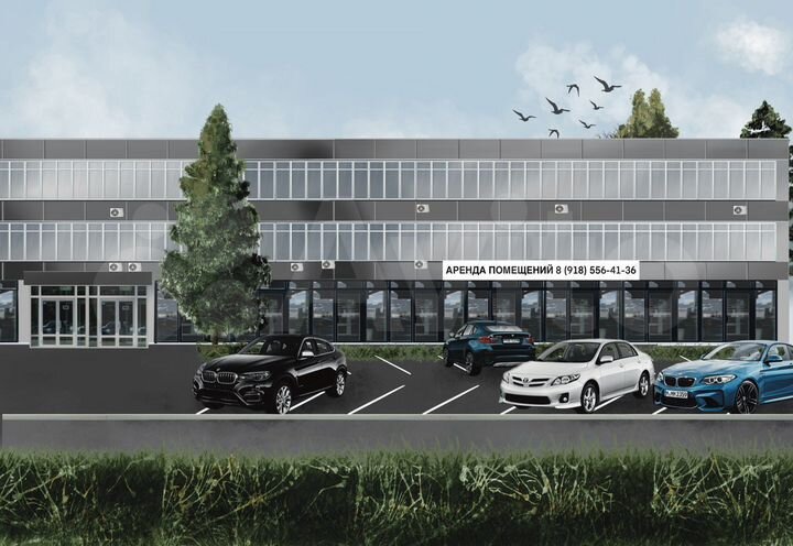 Торговая площадь, 750 м²