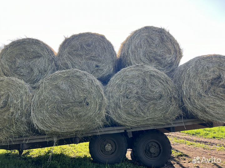 Сено 500кг