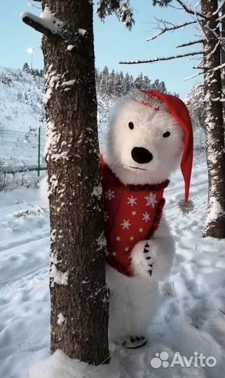 Аэромедведь костюм медведя