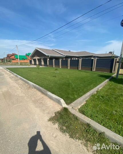 Газон под ключ. Газон посевной и рулонный