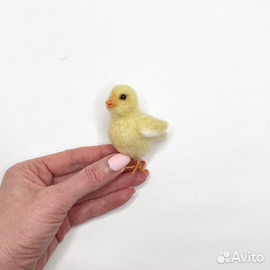 Цыпленок миниатюра
