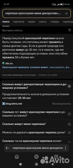 Черепашки-мини,красноухие