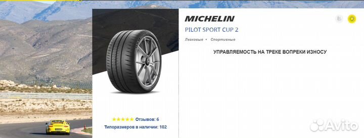 Michelin Pilot Sport Cup 2R 325/30 R21 108Y