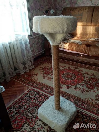 Когтеточка