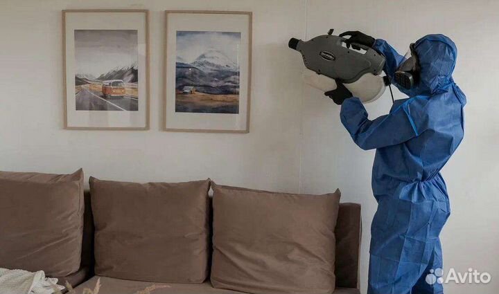 Дезинсекция