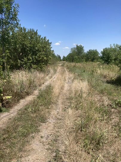 Участок 8 сот. (СНТ, ДНП)