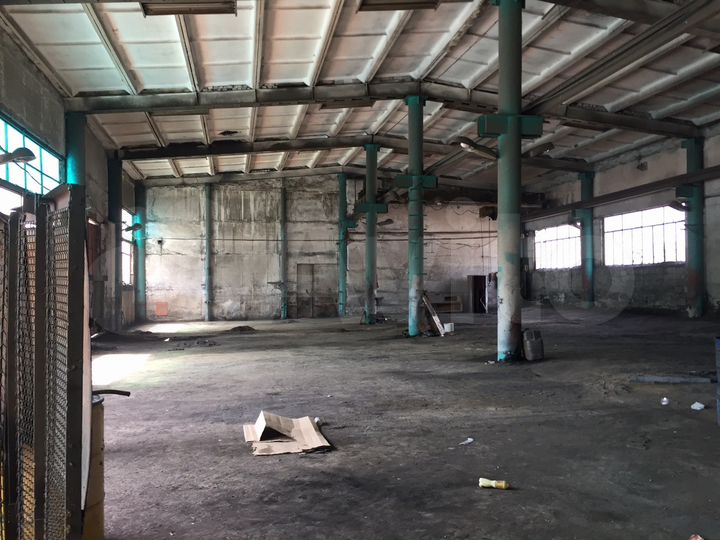 Свободного назначения, 25000 м²