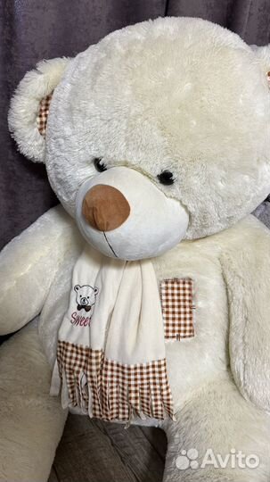 Большой медведь