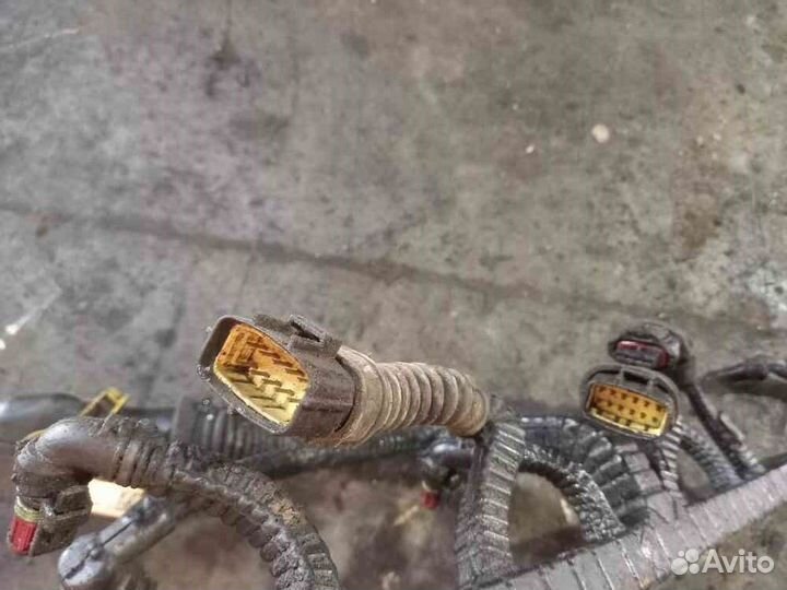 Проводка DAF XF105 (коса) двигателя верхняя