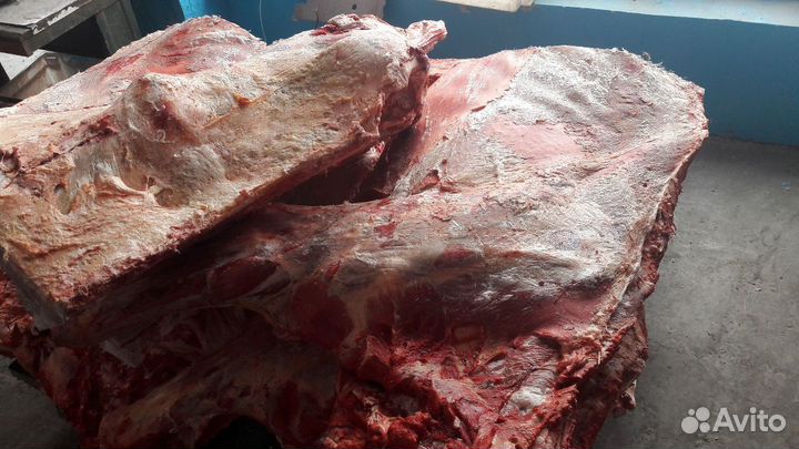 Мясо говяжье-быки молодняк заморозка