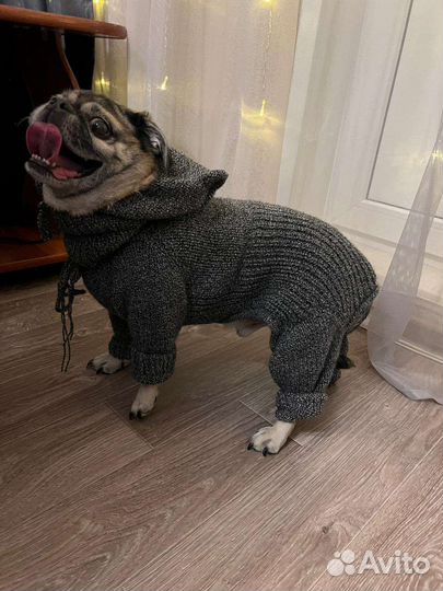 Вязанный комбинезон для собак