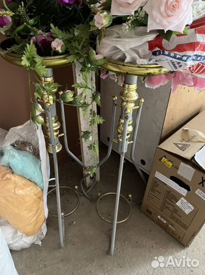 Ковер Львом 3д