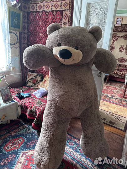 Плюшевый медведь